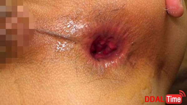 TCD-260 이미지 #9