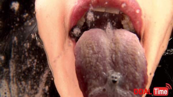 EVIS-358 이미지 #28