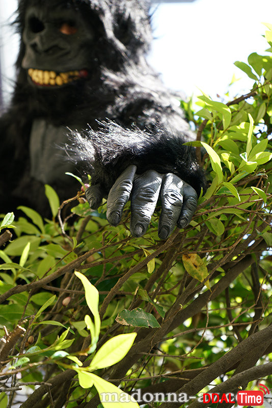 JUL-667 이미지 #9