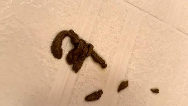 KBMS-192 이미지 #16