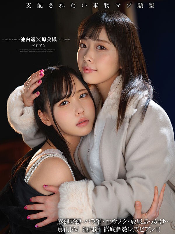 BBAN-533 이미지 #5