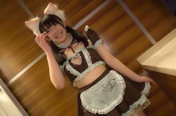 PKPD-381 이미지 #11