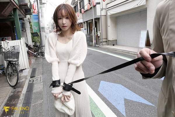 FCDSS-105 이미지 #6