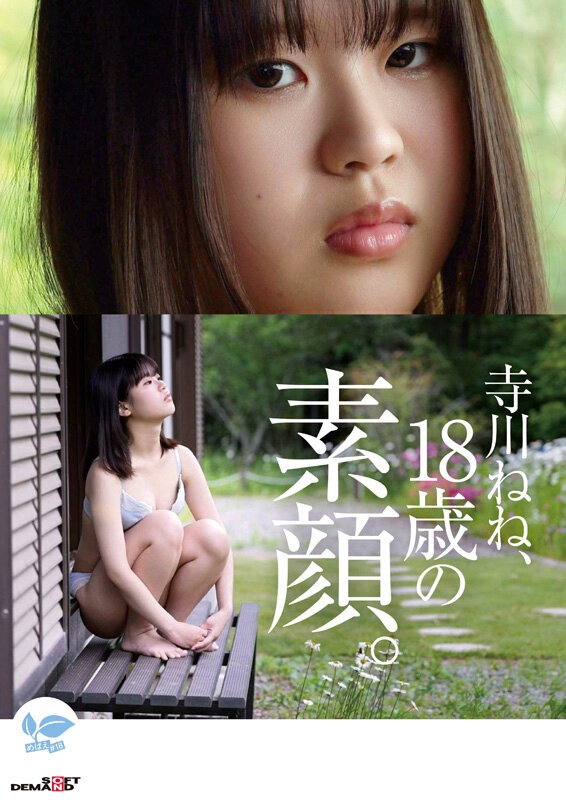 SDAB-340 이미지 #11