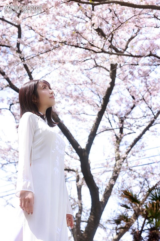 OAE-293 이미지 #8