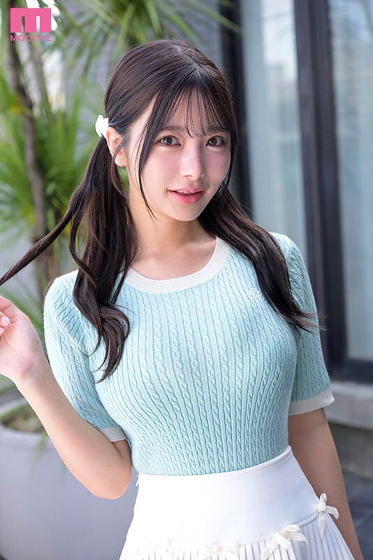 MDVR-406 이미지 #4