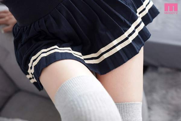 MDVR-408 이미지 #6