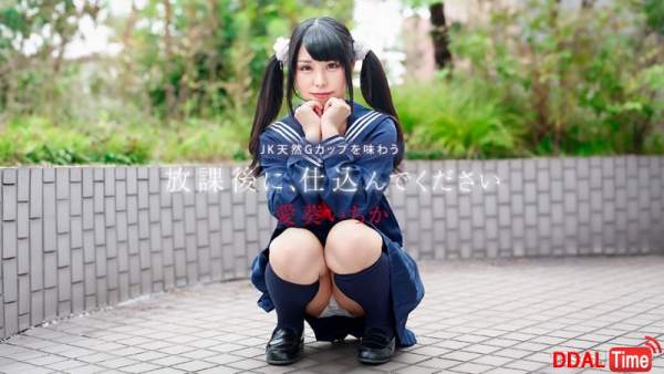 041226-001 이미지 #1