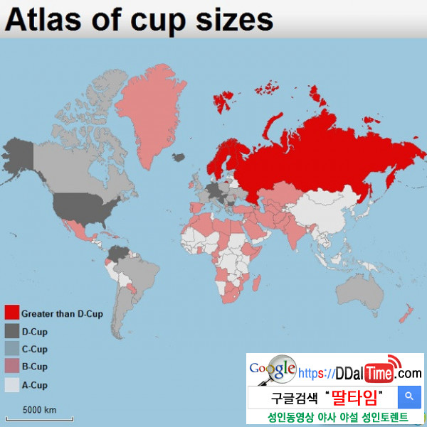 세계 여성들의 평균 가슴 사이즈              이미지 #2