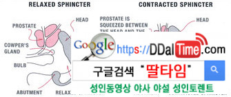 위상기하 오르가즘의 실체(하) - 남성멀티오르가즘을 위한 요도자위              이미지 #2