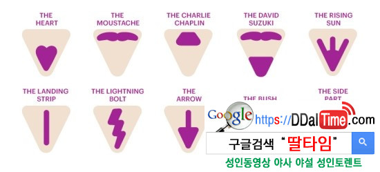 음모관리 - 외국인들이 선호하는 왁싱스타일과 이유              이미지 #4