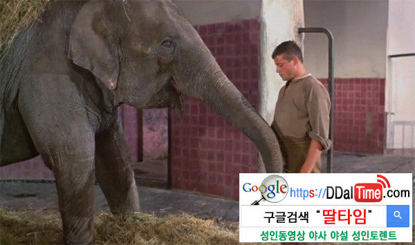 섹시한 혹은 섹시하지 않은 17개의 기록              이미지 #1