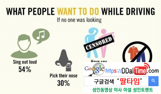 아무도 보지 않을 때 운전 중 하고 싶은 일              이미지 #2