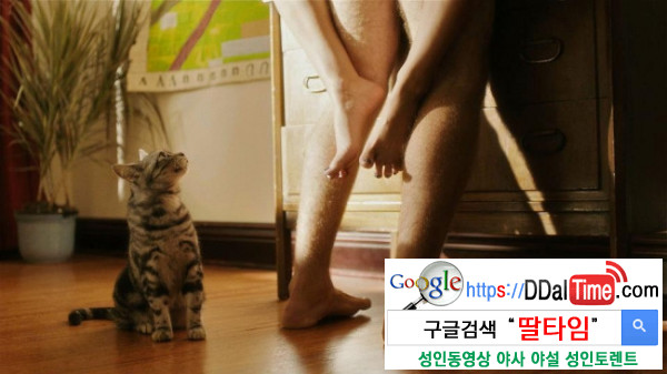고양이 마음과 섹스              이미지 #1