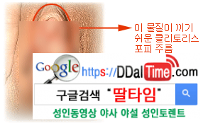 클리토리스 애무 완전정복 1탄              이미지 #4