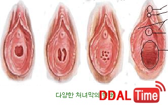 [애널 대장정 2탄] 삽입에 앞서서              이미지 #2