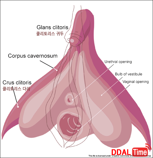 오선생, 혼자서는 만나는데 섹스할 땐 못 만나는 이유              이미지 #5