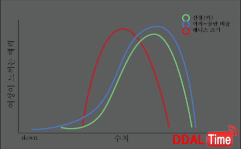 페니스, 크면 클수록 좋다?              이미지 #2