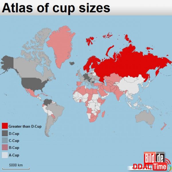 세계 여성들의 평균 가슴 사이즈              이미지 #2