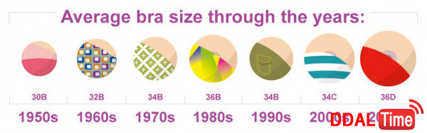 세계 여성들의 평균 가슴 사이즈              이미지 #3