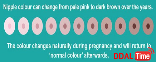 세계 여성들의 평균 가슴 사이즈              이미지 #4