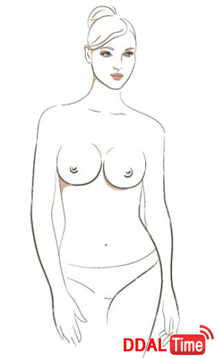 여성의 가슴 유형과 무게              이미지 #4