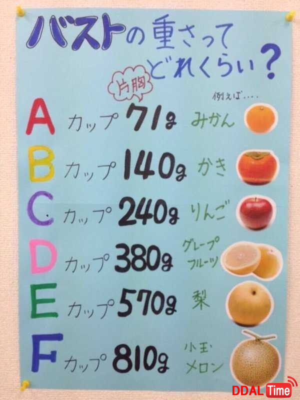 여성의 가슴 유형과 무게              이미지 #8