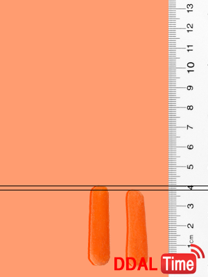 여성성기에 관한 몇가지 사실들              이미지 #3
