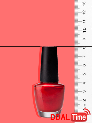 여성성기에 관한 몇가지 사실들              이미지 #4