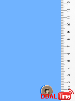 여성성기에 관한 몇가지 사실들              이미지 #5