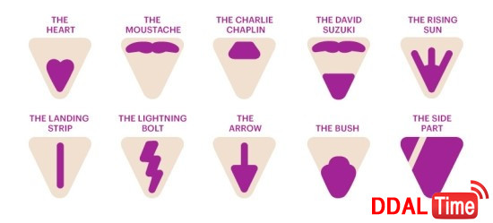 음모관리 - 외국인들이 선호하는 왁싱스타일과 이유 이미지 #4