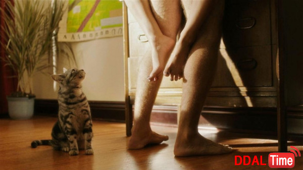 고양이 마음과 섹스 이미지 #1