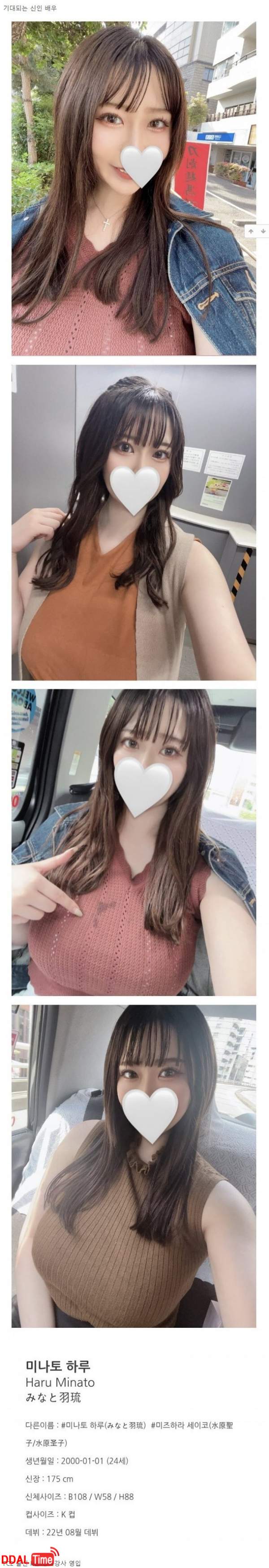 다시 업계 1위를 노리는 야동 회사 이미지 #2