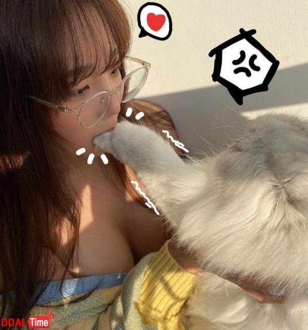 고양이랑 놀아주는 인경좌 이미지 #2