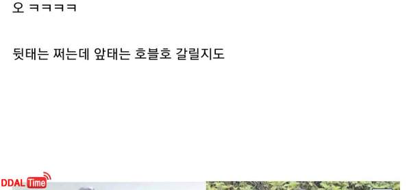 뒷태는 쩌는데 앞태는 호불호 갈릴지도... 이미지 #1