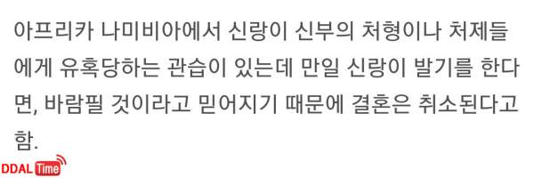 무려 신랑이 발기를 참아야하는 나라 이미지 #2