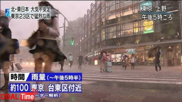 그냥 빠꾸 없이 다 보여주는 성진국 공영방송 이미지 #1