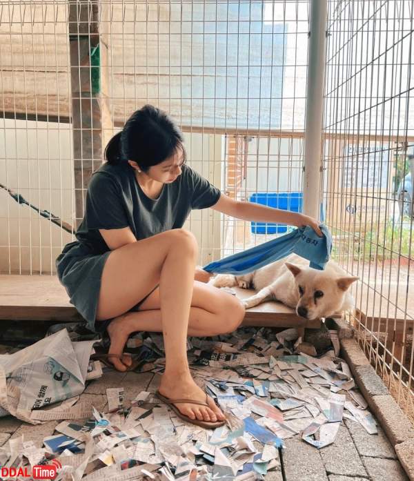 동탄미시류 상위 0.01% 이미지 #2