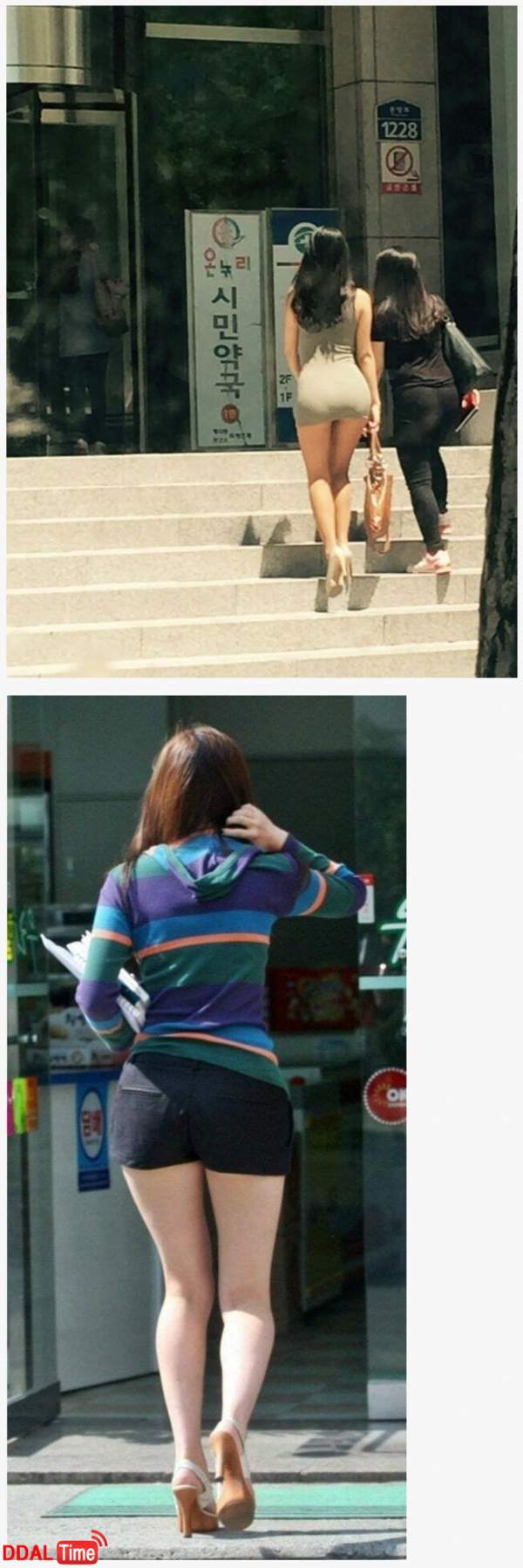 온누리 대항마.jpg 이미지 #1