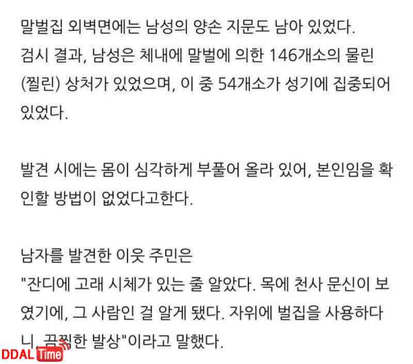 말벌집으로 자위한남자.. 이미지 #1