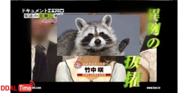 일본 입사 취소 통보 레전드 이미지 #1