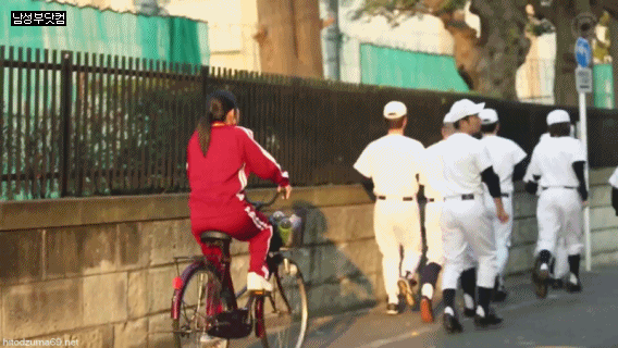 어느 야구부가 좋은 성적을 내고 있는 이유 이미지 #1