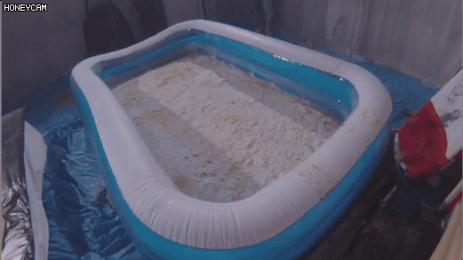 요이.....땅!! 이미지 #9